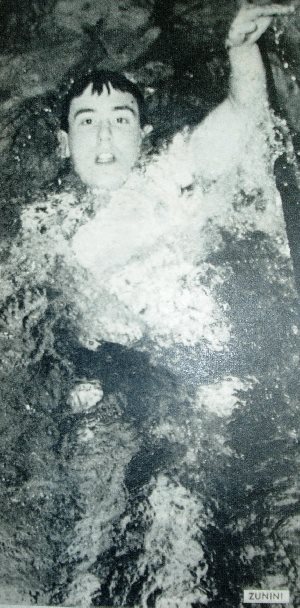 Zunini